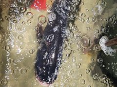 -桃源村铁锅炖鱼(体育馆道店)