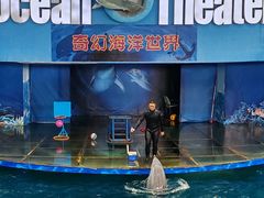 -苏州海洋馆