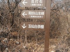 -阳台山自然风景区