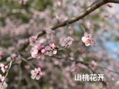 -朝阳公园