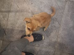 -三生小馆(亭知路店)