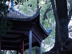 -岳麓山风景名胜区