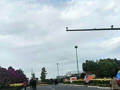 -荷兰花海