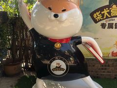 门面-柴犬高等学院·狗咖·柴犬售卖·宠物训练