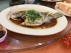 -稻香酒家·33年老字号·港式粤菜(富邦中心店)