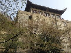 -武汉大学-樱园