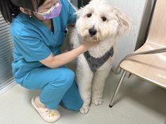 -美美宠物诊疗中心·异宠·骨科(滨江东信分院)