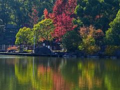 -白马涧龙池景区