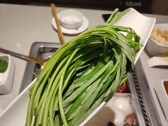 空心菜(半)-海底捞火锅(群光广场店)