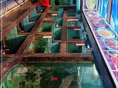-新金盛·海鲜酒楼(盐田店)