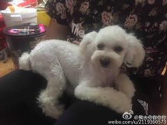 -惠康宠物医院(华能路店)