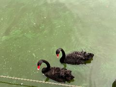 -无锡动物园·太湖欢乐园