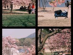 -上海辰山植物园