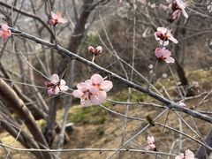 -河北省园博园