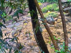 -飞霞风景名胜区