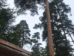 -美人松苑