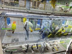 -三旗百汇商品城