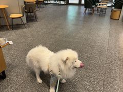 -星巴克(成都泛悦城市广场店)