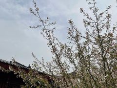 -堤角公园