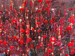 -凤凰楼酒家·粤宴点心(华强北店)