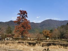 -塔川景区