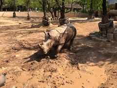 -西安秦岭野生动物园