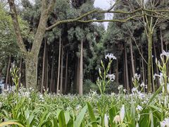-都江堰景区