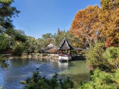 -上海醉白池公园