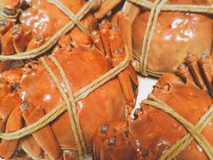 -黄记大闸蟹专卖店·活蟹·醉蟹