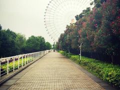 -南昌之星游乐场