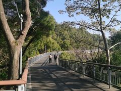 -金鸡山公园