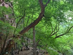 -苍岩山风景名胜区