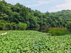 -天目湖山水园