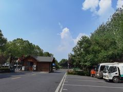 -合肥滨湖国家森林公园