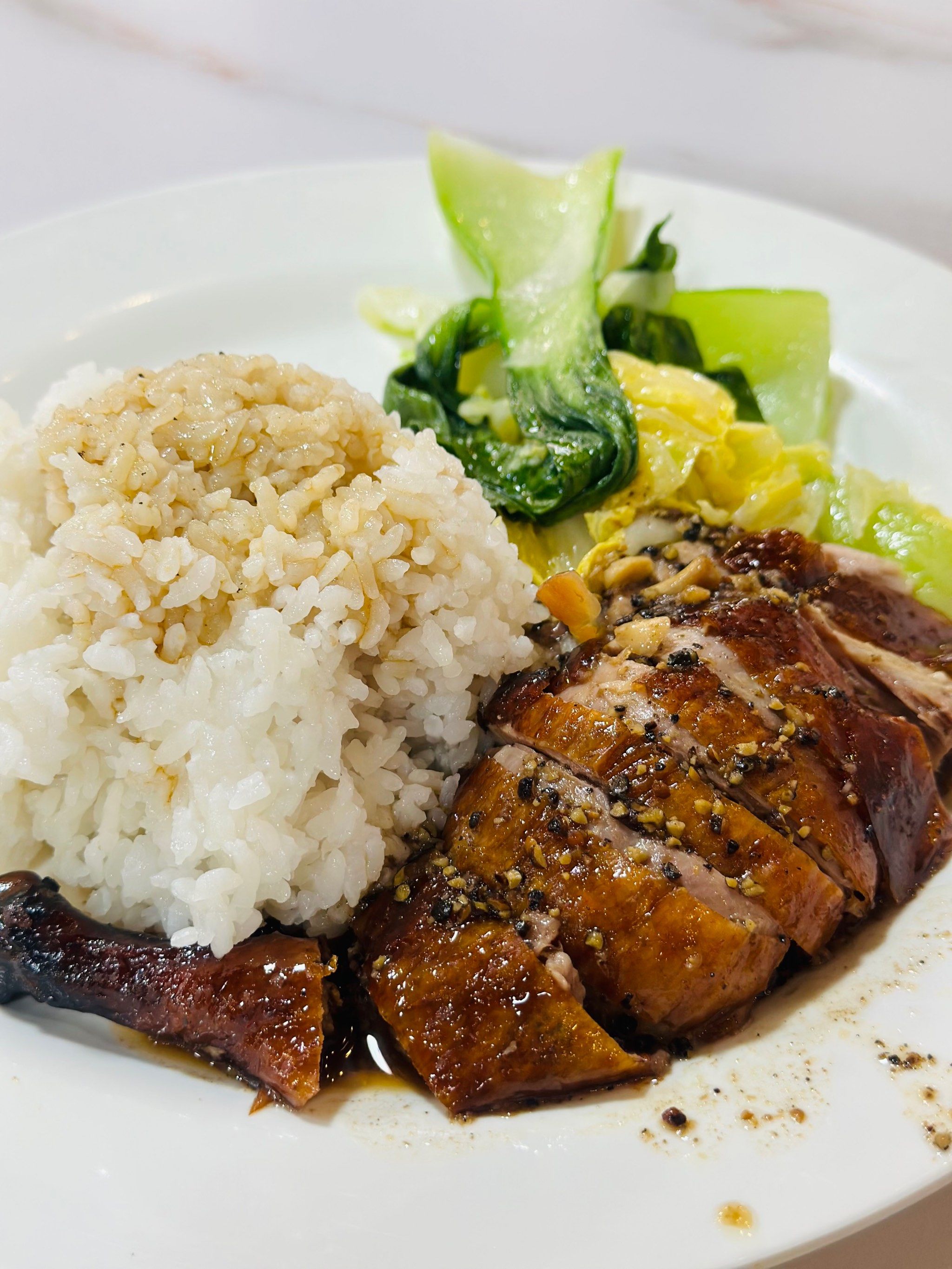 烧鸭饭居然是一整只鸭腿,爱了爱了