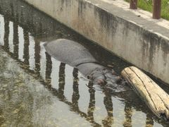 -青藏高原野生动物园