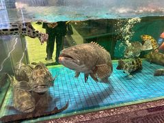 -聚福宝合苑食府(南头镇店)