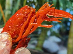 -海岛八号龙虾烧烤田鸡(蓝天路总店)