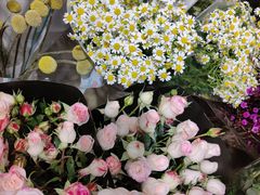 -双季花艺园艺市场(浦东店)