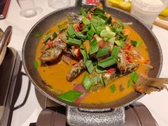 -阿露佳·舌尖上的安吉菜