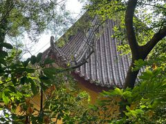 -漳州云洞岩风景区-瑞竹岩