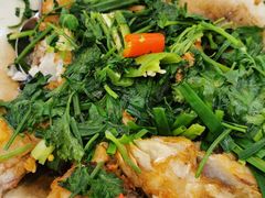 砂锅鱼头-小北江河鲜(旧城店)