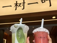 -一树一叶·福建茶档(石鼓路店)