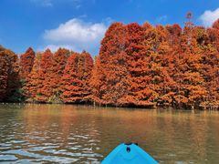-上海海湾国家森林公园