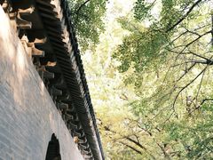 -灵谷景区