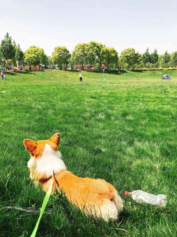 "-大众点评移动版