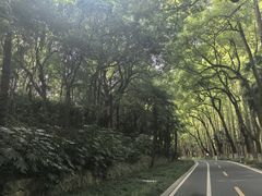 -采石矶景区