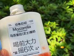 -白色日记·手作酸奶(麦凯乐店)