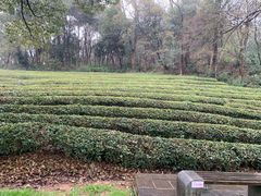 -敬亭山风景名胜区