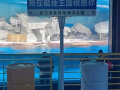 -海合安武汉极地海洋公园